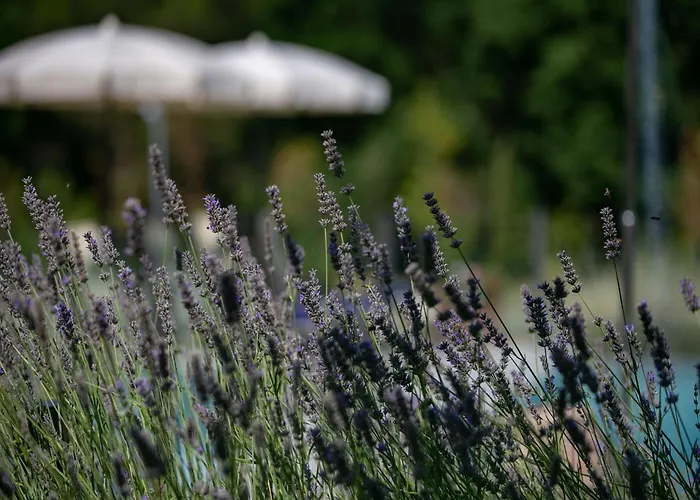 Chic Tuscan With Steam Cortona